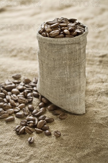 Coffee grains in bag on sacking