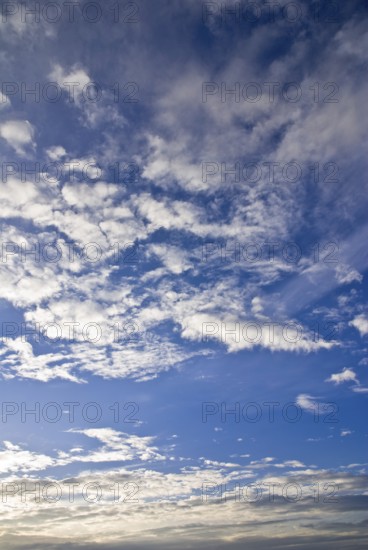 White clouds 2008