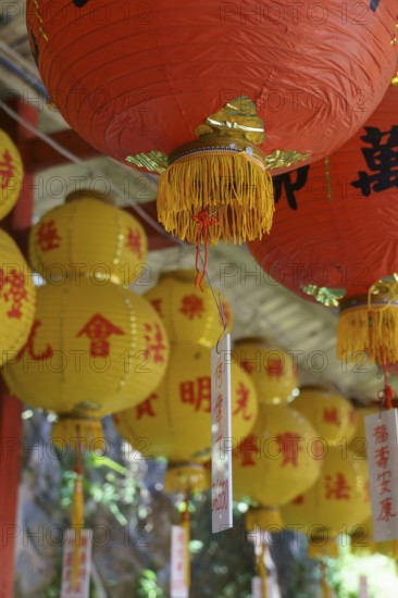 Close-up of red and yellow lanterns with Asian characters creating a festive atmosphere, penang,