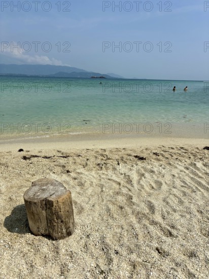 Wooden log on a quiet beach with gentle waves under a blue sky, koh samui, thailand