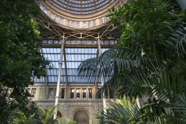 Dome, Palm Garden, Ny Carlsberg Glyptotek or New Carlsberg Glyptothek, Art Museum for Sculpture and