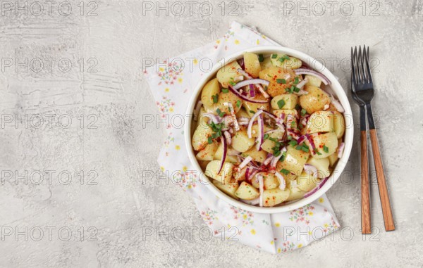 Boiled potato salad with red onion, German cuisine, homemade, no people