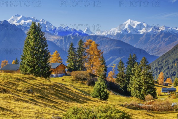 Autumn landscape with chalets and panorama of Dom 4545m, Matterhorn 4478m and Weisshorn 4505m,