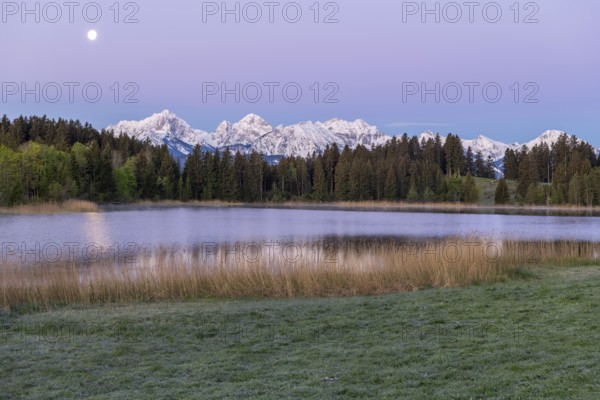 Hegratsrieder See near Füssen, Allgäu Alps, snow, moon, dawn, Allgäu, Bavaria, Germany, Europe