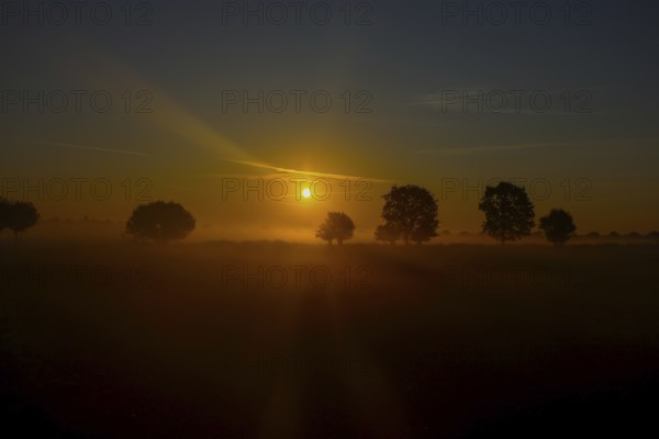 View of a landscape in the morning fog at sunrise with trees rising into the fog in autumn, Fehmarn