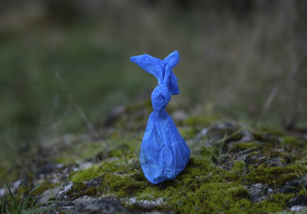 Dog excrement bag, blue, bag with dog excrement, disposed of in nature, Fellbach,
