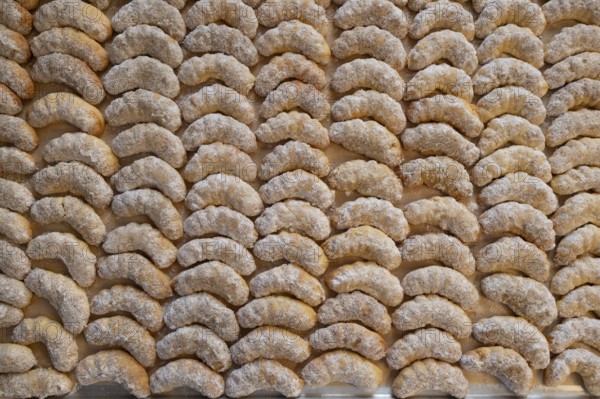 Freshly baked vanilla crescents on a baking tray, Bavaria, Germany, Europe