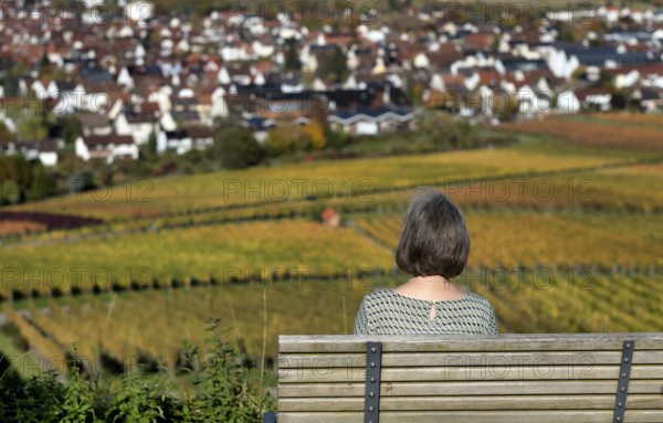 Elderly woman sitting on bench, park bench, enjoying view of vineyard, vines, grapevines,