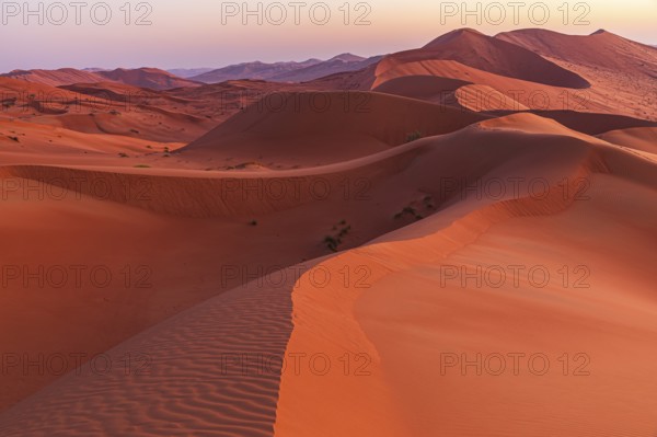 Wind-sculpted sand dunes at sunrise in the Rub al Khali desert, Dhofar province, Arabian Peninsula,