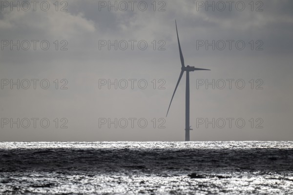 Wind turbine, offshore wind farm, Søndervig Strand, North Sea, Denmark, Europe