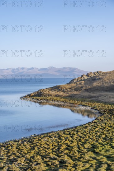 Highlands, Song Kul mountain lake, Naryn region, Kyrgyzstan, Asia