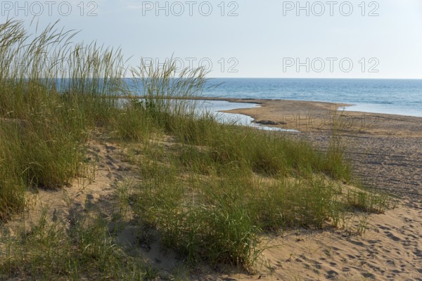 Coastal landscape with grasses on dunes, sea and blue sky, beach at Nea Kallikratia, Chalkidiki,