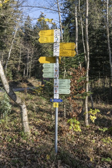 Various hiking signposts on the 980 metre high Klippeneck on the western edge of the Swabian Alb,