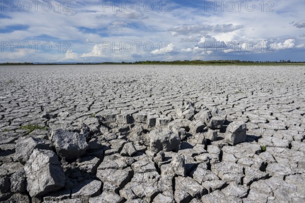 Cracked earth, heavily dried out Zicksee, Lake Neusiedl-Seewinkel National Park, Burgenland,