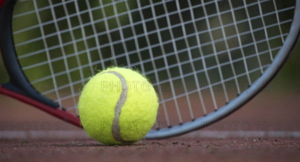 Close up of a yellow tennis ball and a tennis racket lying on a tennis hard court surface is