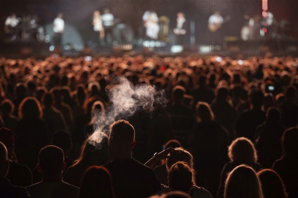 Crowd of people in front of the stage during the concert.