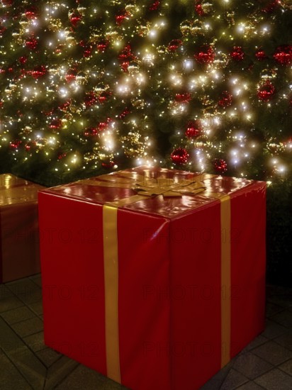 Parcel under the Christmas tree, decoration, Roermond, Netherlands