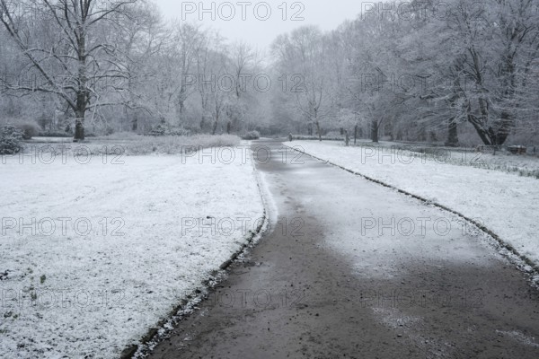 Winter road in the park