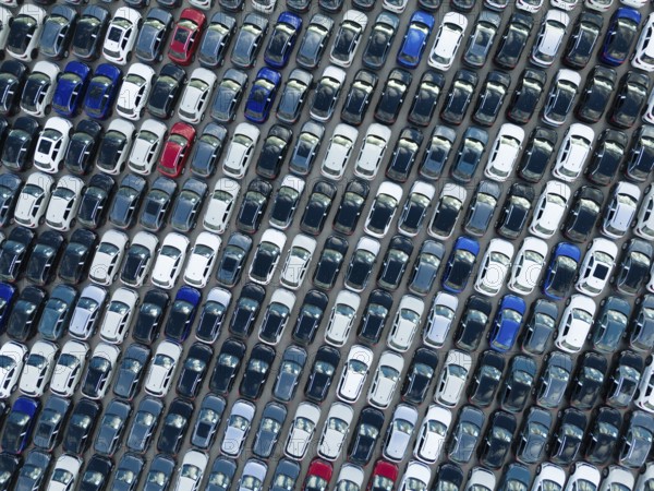 New Cars on Large Parking Lot in Port Ready for Distribution to Dealer. Automobile Industry