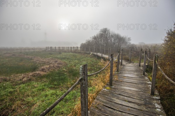 A wooden walkway or footbridge leads through a nature reserve in dense fog. Landscape shot in the