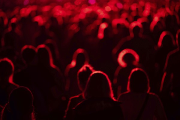 Crowd of people in front of the stage during the concert.
