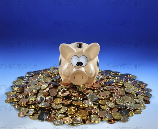 Symbol photo money, luck, saving, piggy bank, coins, old-age provision, nest egg Studio photo,