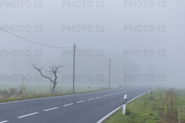 Street with foggy atmosphere near Steinbach, foggy atmosphere, Steinbach, Saxony, Germany, Europe