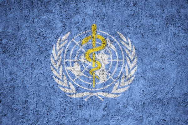 WHO Flag painted on the cracked grunge concrete wall, World Health Organization