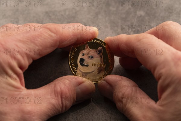 One hand holds a coin with the famous Doge meme and the inscription Wow on a grey background