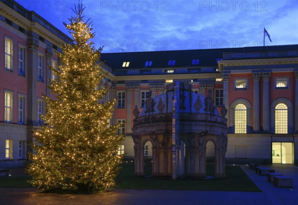 City Palace courtyard with Christmas tree, Alter Markt in the evening, Potsdam, Brandenburg,