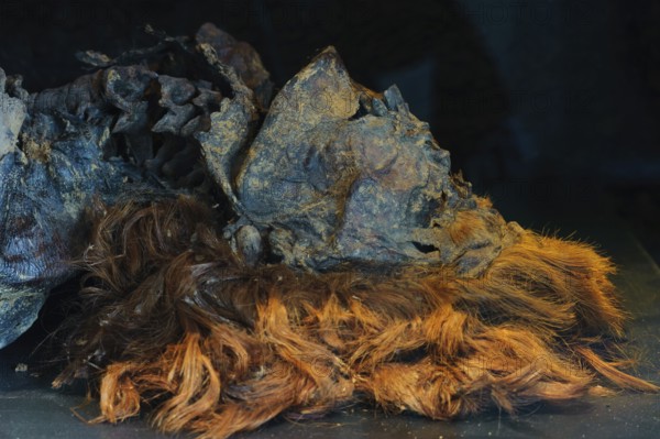 Bog body, by Husbaeke, Landesmuseum Oldenburg, Lower Saxony, Germany, Europe