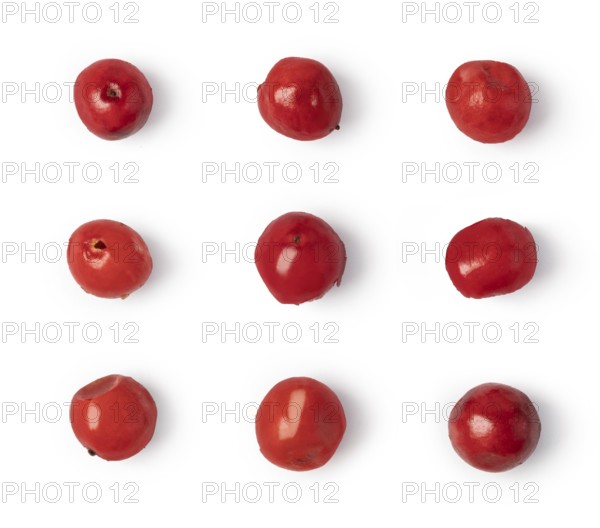 pink pepper isolated on white background