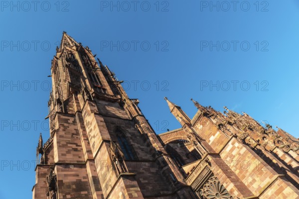 The facade of the Freiburg Minster in Freiburg im Breisgau, Germany, Europe