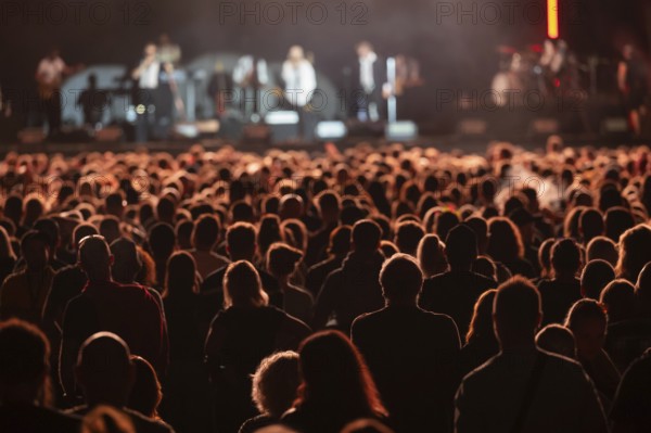Crowd of people in front of the stage during the concert.