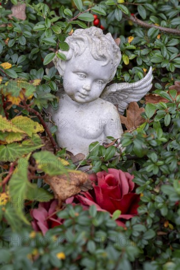 Angel figure on a grave in the cemetery in Garbsen-Stelingen, Lower Saxony, Germany, Europe