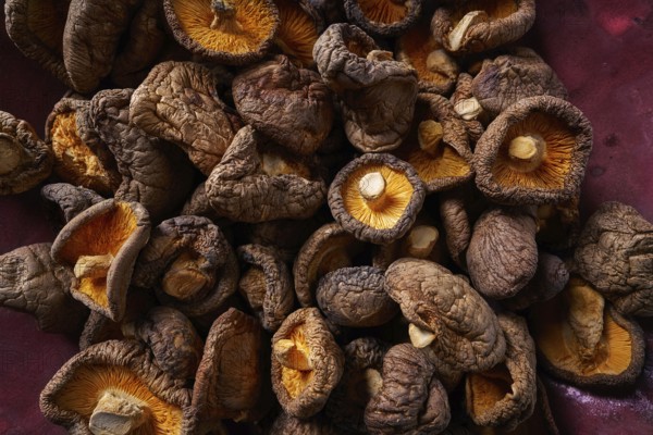 Dried Shiitake mushrooms edible for Asian cuisine food