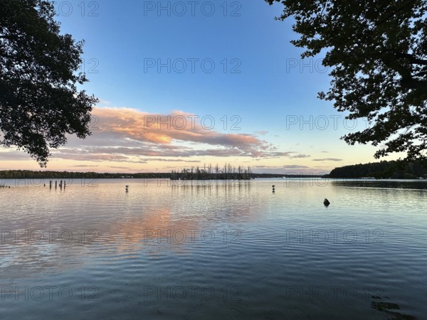 View of an island in Lake Scharmützelsee, Bad Saarow, Brandenburg, Germany, Europe