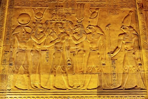 View of Relief and Hieroglyphs on the wall in The Temple of Sobek and Horus at Kom Ombo, Aswan