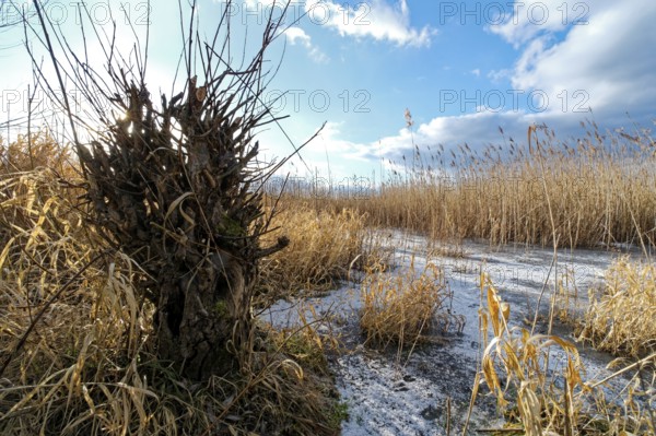 Icy waters on a winter's day in the Aland-Elbe lowlands near Losenrade. Seehausen, Altmark,