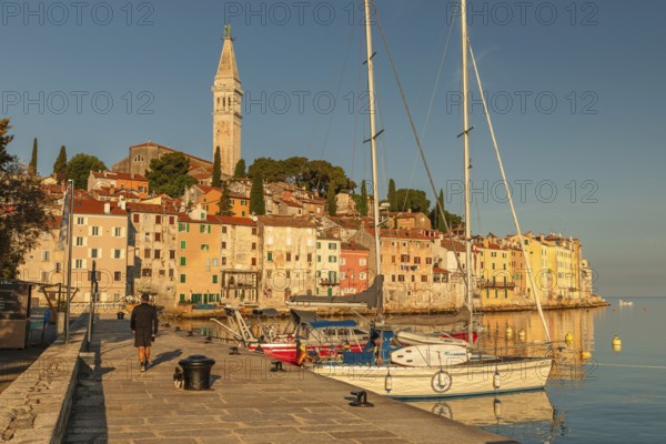 Harbour in the old town with Sveta Eufejima church, Rovinj, Istria, Croatia, Europe