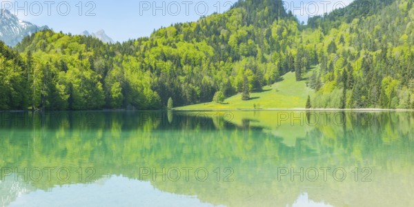 Alatsee, Ostallgäu, Allgäu, Swabia, Bavaria, Germany, Europe