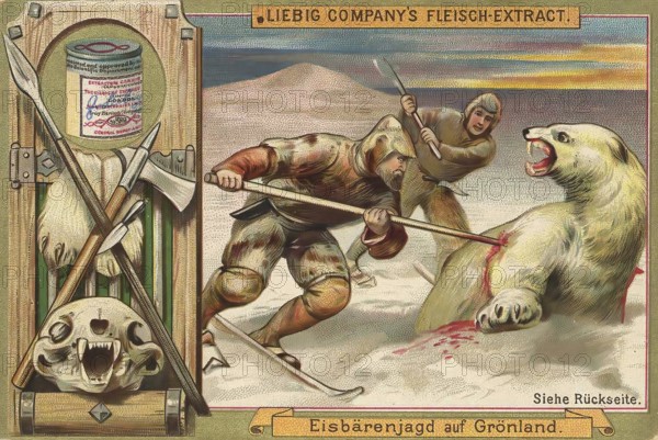 Picture series Hunting, Polar bear hunt in Greenland, Liebig picture, digitally restored