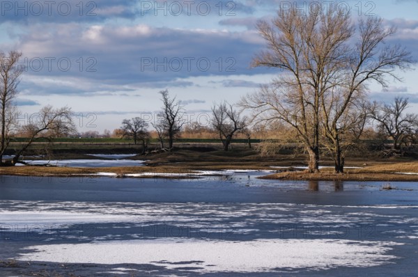 Icy waters on a winter evening in the floodplains of the Elbe valley near Beuster. Seehausen,