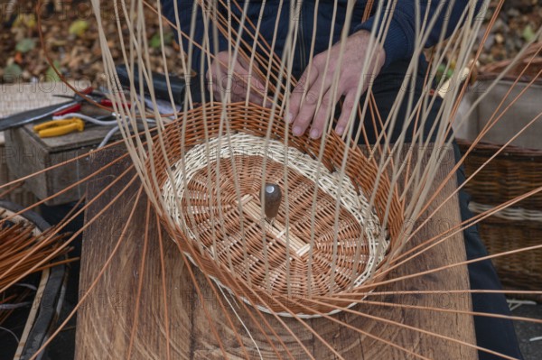 Basket is woven from willow rods (Salix viminalis), Franconia, Bavaria, Germany, Europe