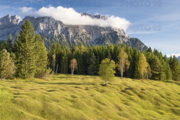 Buckelwiesen between Mittenwald and Krün, Werdenfelser Land, Upper Bavaria, Bavaria, Germany,