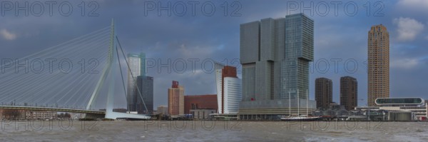 Nieuwe Maas with Erasmus Bridge and high-rise buildings, Rotterdam, South Holland, Netherlands