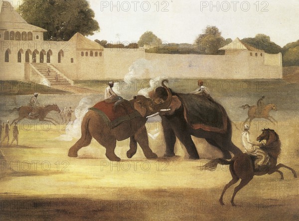 Elephant fight in front of Nawab of Oudh's Bungalow at Gow gautee, India 1995