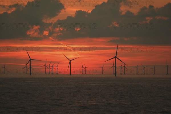 Baltic Sea wind farm at sunset