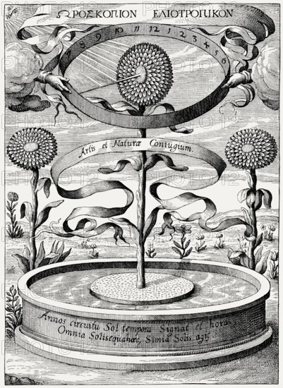 Heliotropic sunflower clock by Athanasius Kircher, Magnes, sive de arte Magnetica, 1641