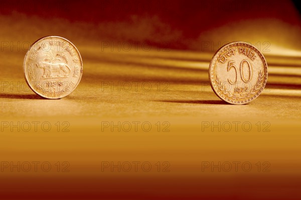 Double pair Indian currency fifty paise coin front side and backside manner embossed tiger golden